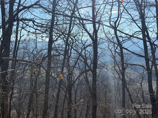 Lot 23 Thumper Trail 23, Waynesville, NC 28785