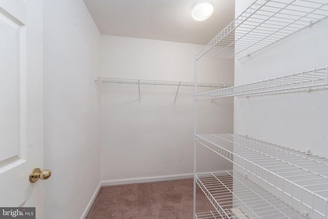 8005 SILVER FOX DR, Glen Burnie, MD 21061