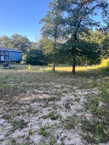 149 LONGHORN RD, Stockdale, TX 78160