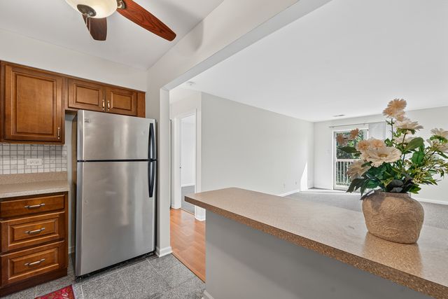715 W Central Road C1, Mount Prospect, IL 60056