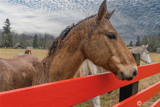 244 Martin Road, Glenoma, WA 98336