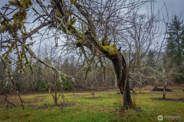 244 Martin Road, Glenoma, WA 98336