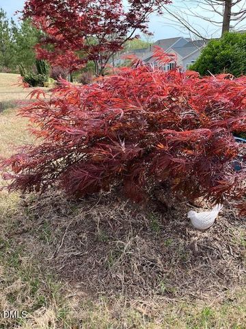 1208 Farm Leaf Drive, Durham, NC 27703