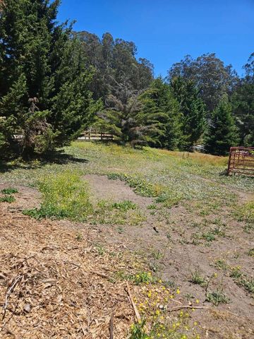603 Carpenteria Road, Aromas, CA 95004