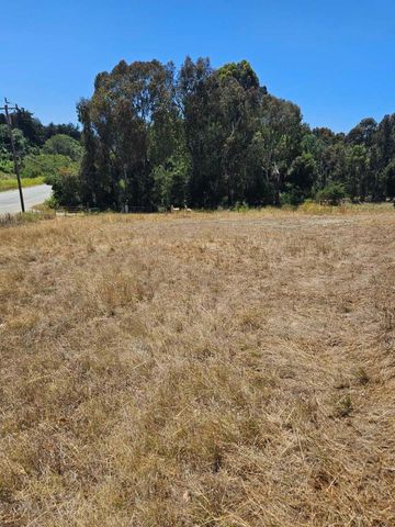603 Carpenteria Road, Aromas, CA 95004