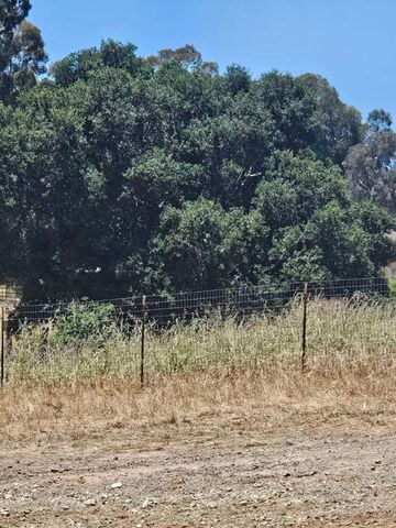 603 Carpenteria Road, Aromas, CA 95004