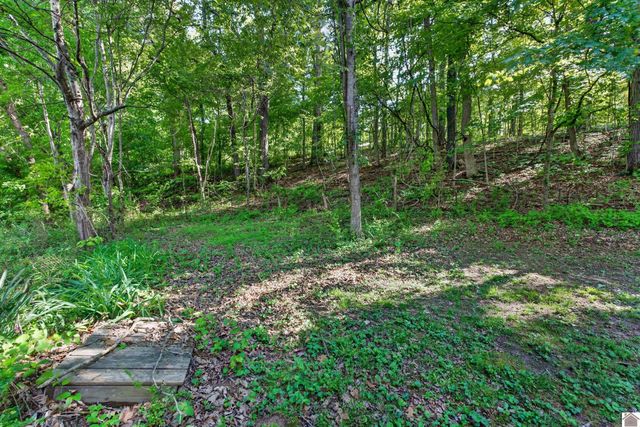 3496 Murray Hwy, Hardin, KY 42048