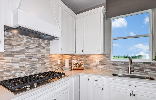 1120 CANOPY VIEW WAY, Minneola, FL 34715