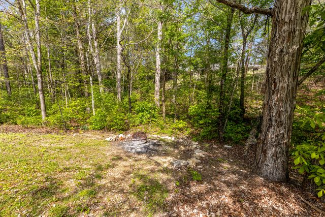138 Elaine Drive, Flintstone, GA 30725