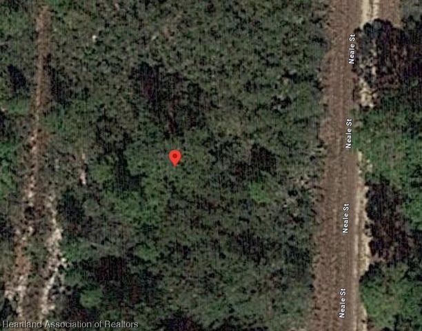 718 Neale Street, Lake Placid, FL 33852