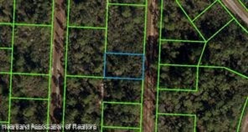 718 Neale Street, Lake Placid, FL 33852