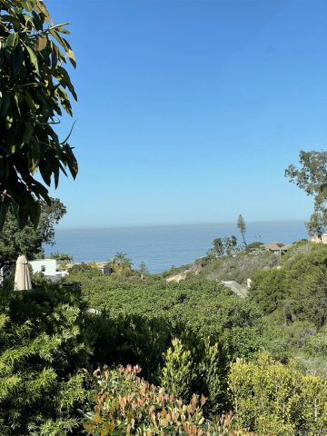 1402 Rodeo Drive, La Jolla, CA 92037