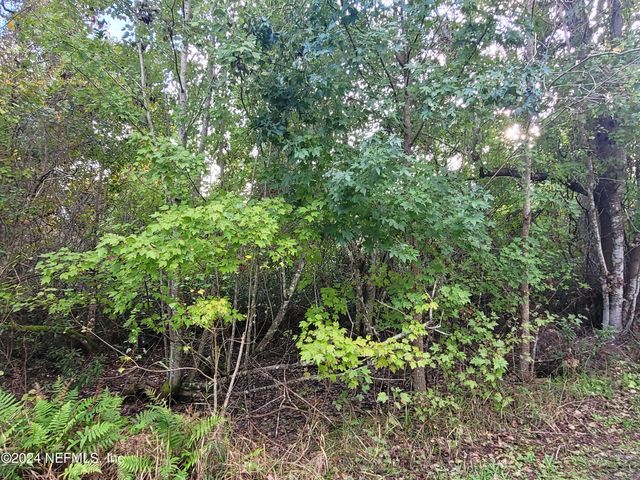 0 LOGAN Avenue, Crescent City, FL 32112