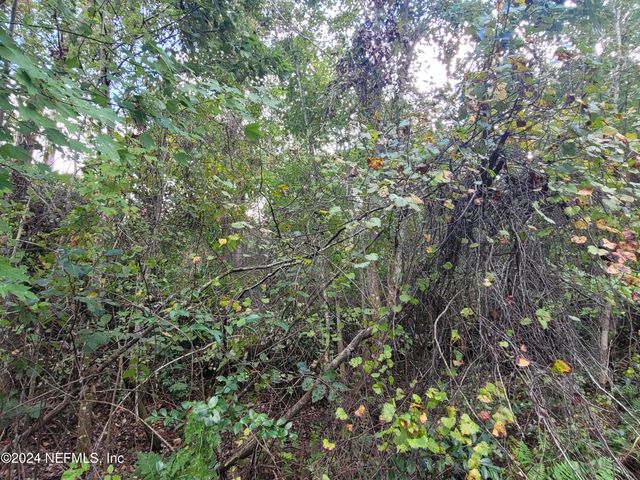 0 LOGAN Avenue, Crescent City, FL 32112