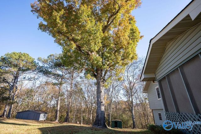 6502 Banks Drive, Fort Payne, AL 35967