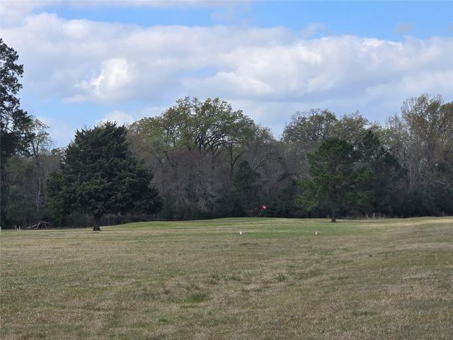 TBD New Orleans Avenue, Trinity, TX 75862