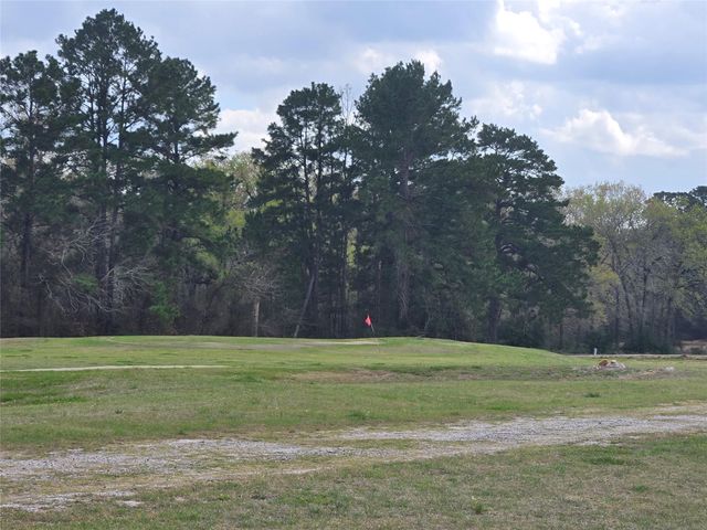 TBD New Orleans Avenue, Trinity, TX 75862