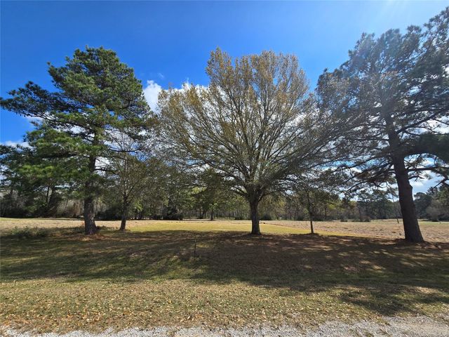 TBD New Orleans Avenue, Trinity, TX 75862