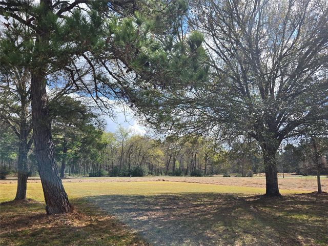 TBD New Orleans Avenue, Trinity, TX 75862