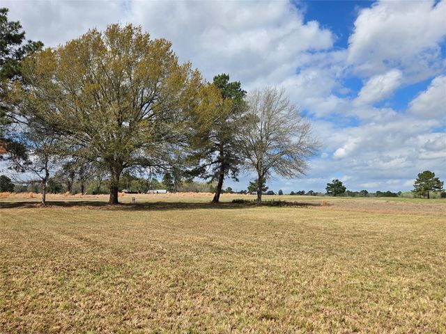 TBD New Orleans Avenue, Trinity, TX 75862