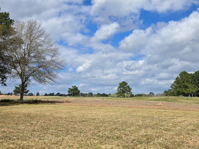 TBD New Orleans Avenue, Trinity, TX 75862