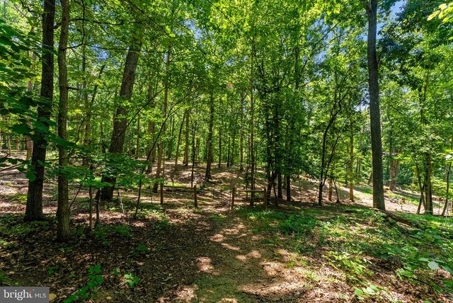 10275 MOUNTAIN RUN LAKE RD, Culpeper, VA 22701