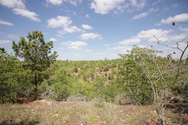 TBD River Forest DR, Bastrop, TX 78602