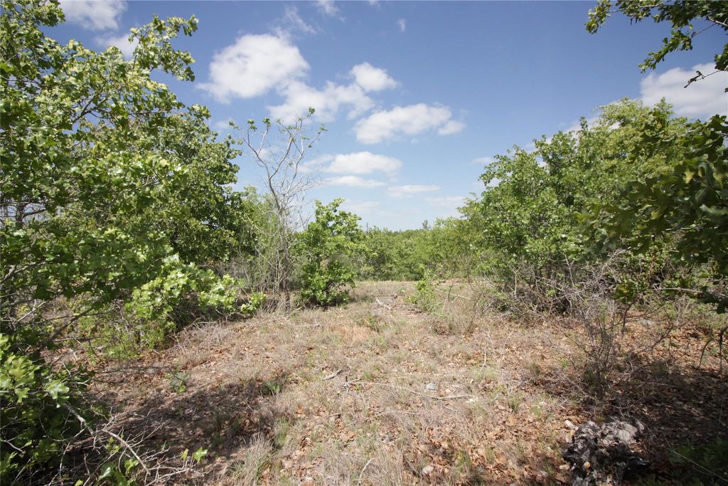TBD River Forest DR, Bastrop, TX 78602