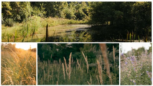 5553 Hidden Pond Lane, Sawyer, MI 49125