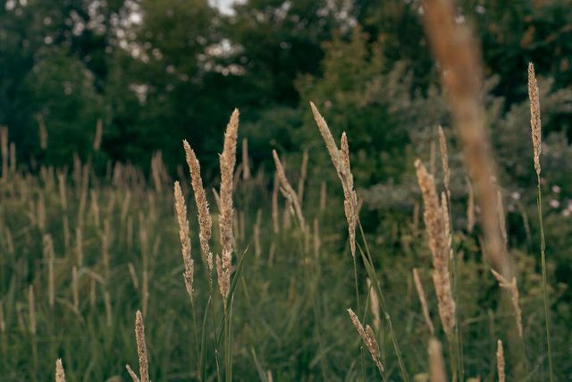 5553 Hidden Pond Lane, Sawyer, MI 49125