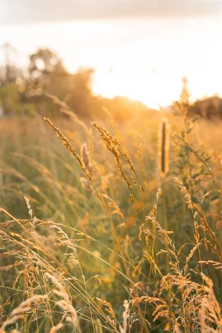 5553 Hidden Pond Lane, Sawyer, MI 49125