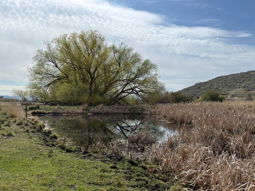 3 Finley Gulch Road, Lonepine, MT 59848 photo 12