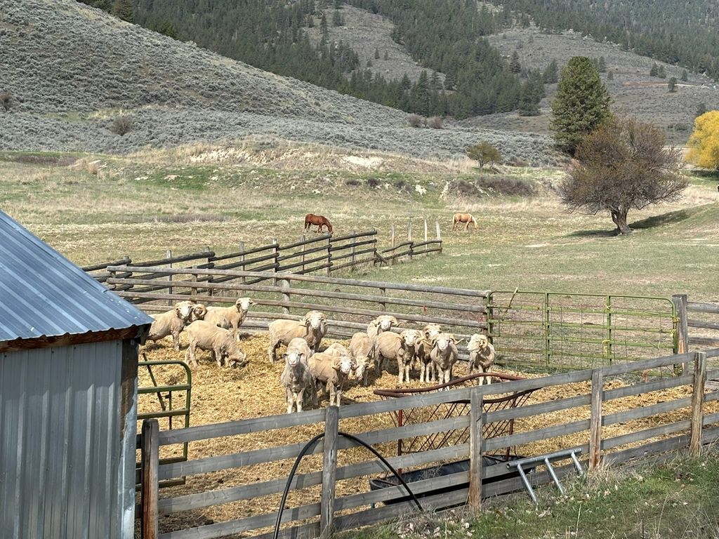 3 Finley Gulch Road, Lonepine, MT 59848 photo 5