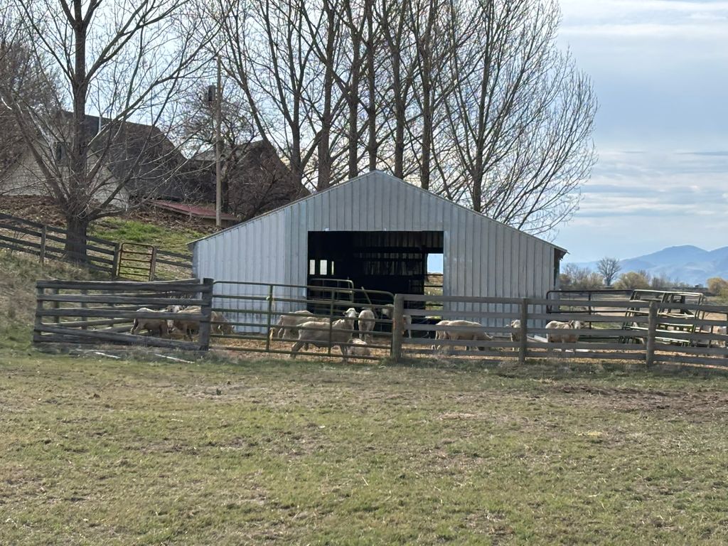 3 Finley Gulch Road, Lonepine, MT 59848 photo 73