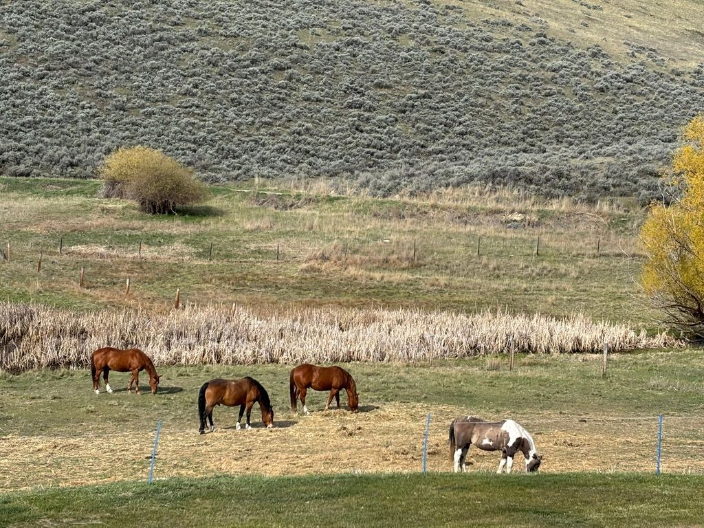 3 Finley Gulch Road, Lonepine, MT 59848 photo 8