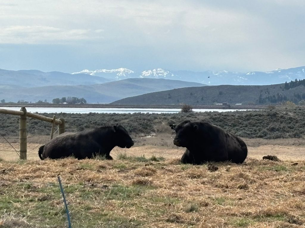 3 Finley Gulch Road, Lonepine, MT 59848 photo 84