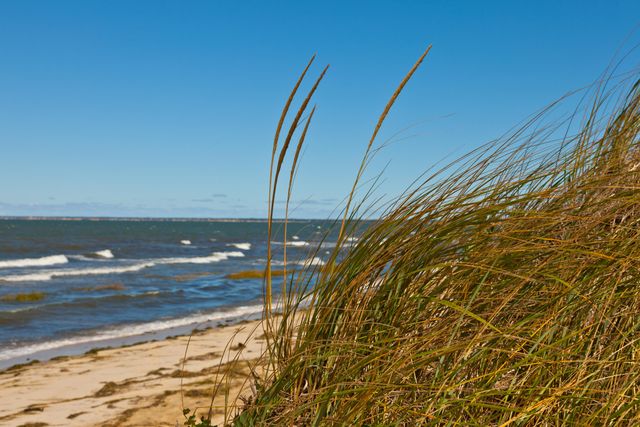 27 Billington Lane UNIT 27, Brewster, MA 02631