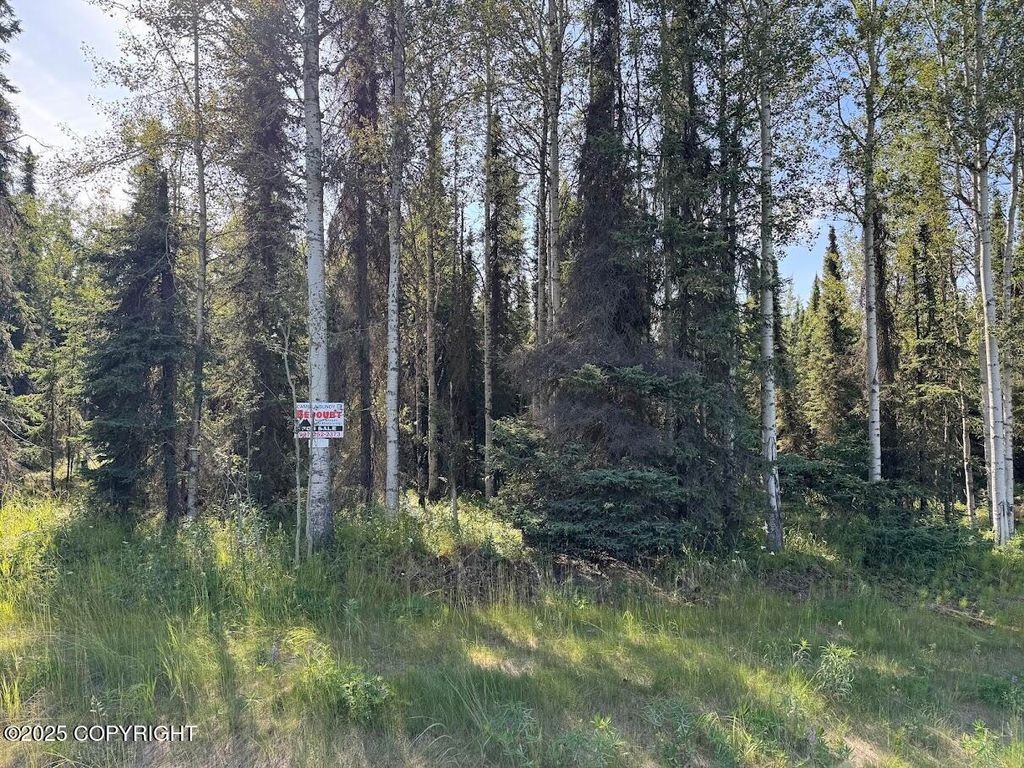 8B2 Lake Road, Soldotna, AK 99669