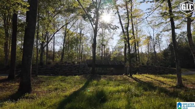 200 HERITAGE PINES BOULEVARD, Columbiana, AL 35051