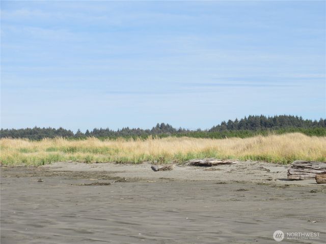 4 Driftwood Drive, Ocean City, WA 98569