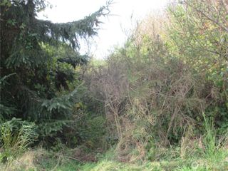 4 Driftwood Drive, Ocean City, WA 98569