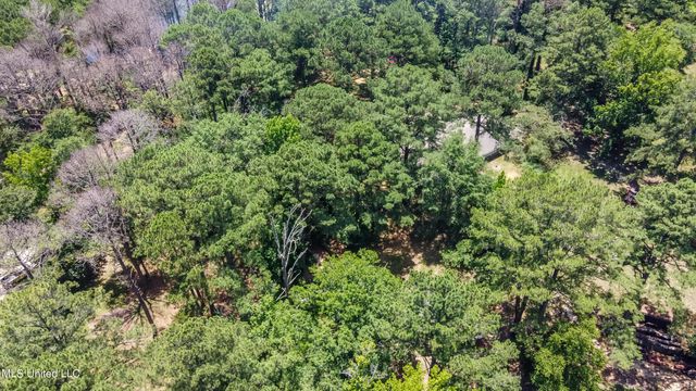 551 Holly Bush Road, Brandon, MS 39047