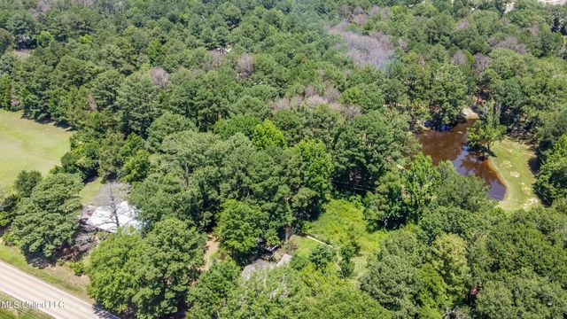 551 Holly Bush Road, Brandon, MS 39047