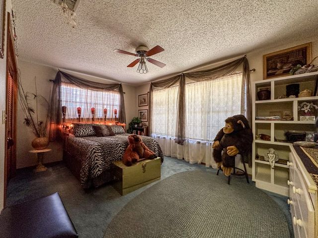 203 Cave Springs Dr, Hunt, TX 78024