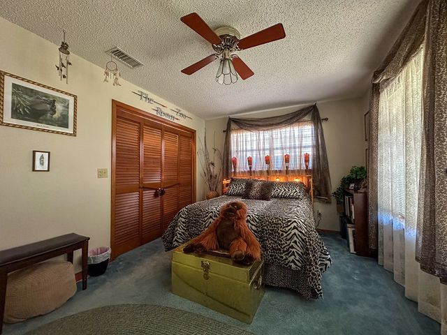 203 Cave Springs Dr, Hunt, TX 78024