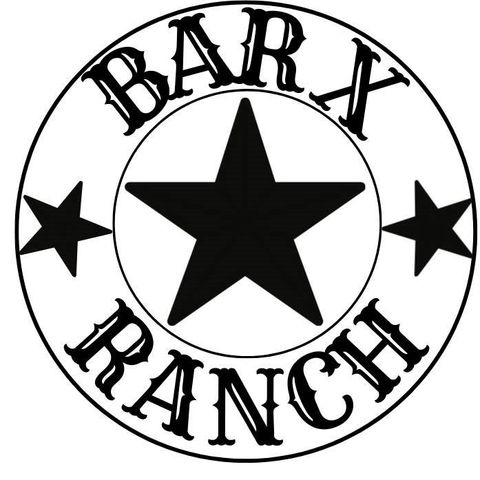 268 Brahman Trail, Angleton, TX 77515