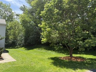 8507 Courtland Drive 4, Rockford, MI 49341
