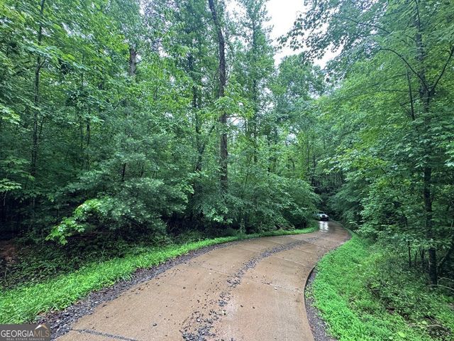 1.23 AC Bear Run Circle 101,117-9, Ellijay, GA 30540