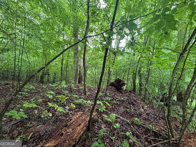 1.23 AC Bear Run Circle 101,117-9, Ellijay, GA 30540