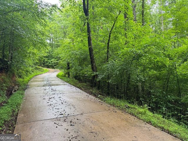1.23 AC Bear Run Circle 101,117-9, Ellijay, GA 30540